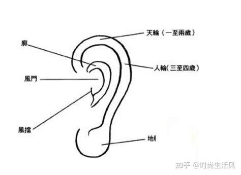 耳朵痣的意思|耳朵上面长痣